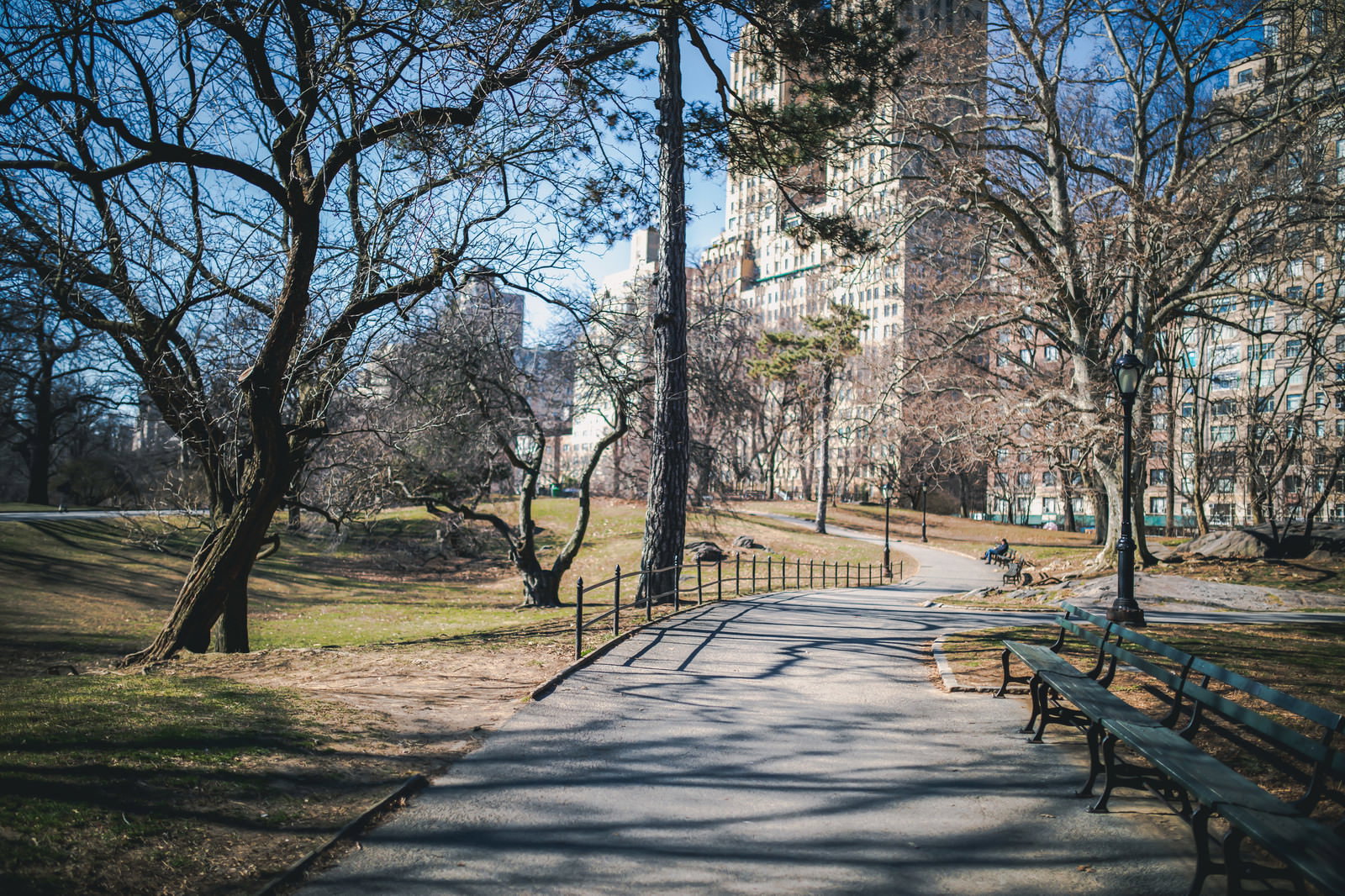 ニューヨークの公園で木々の影が落ちる遊歩道とベンチ