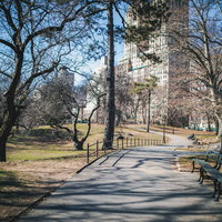ニューヨークの公園で遊歩道に伸びる木々の影の写真