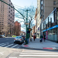 ニューヨークの横断歩道で犬を連れて信号待ちするニューヨーカーの写真