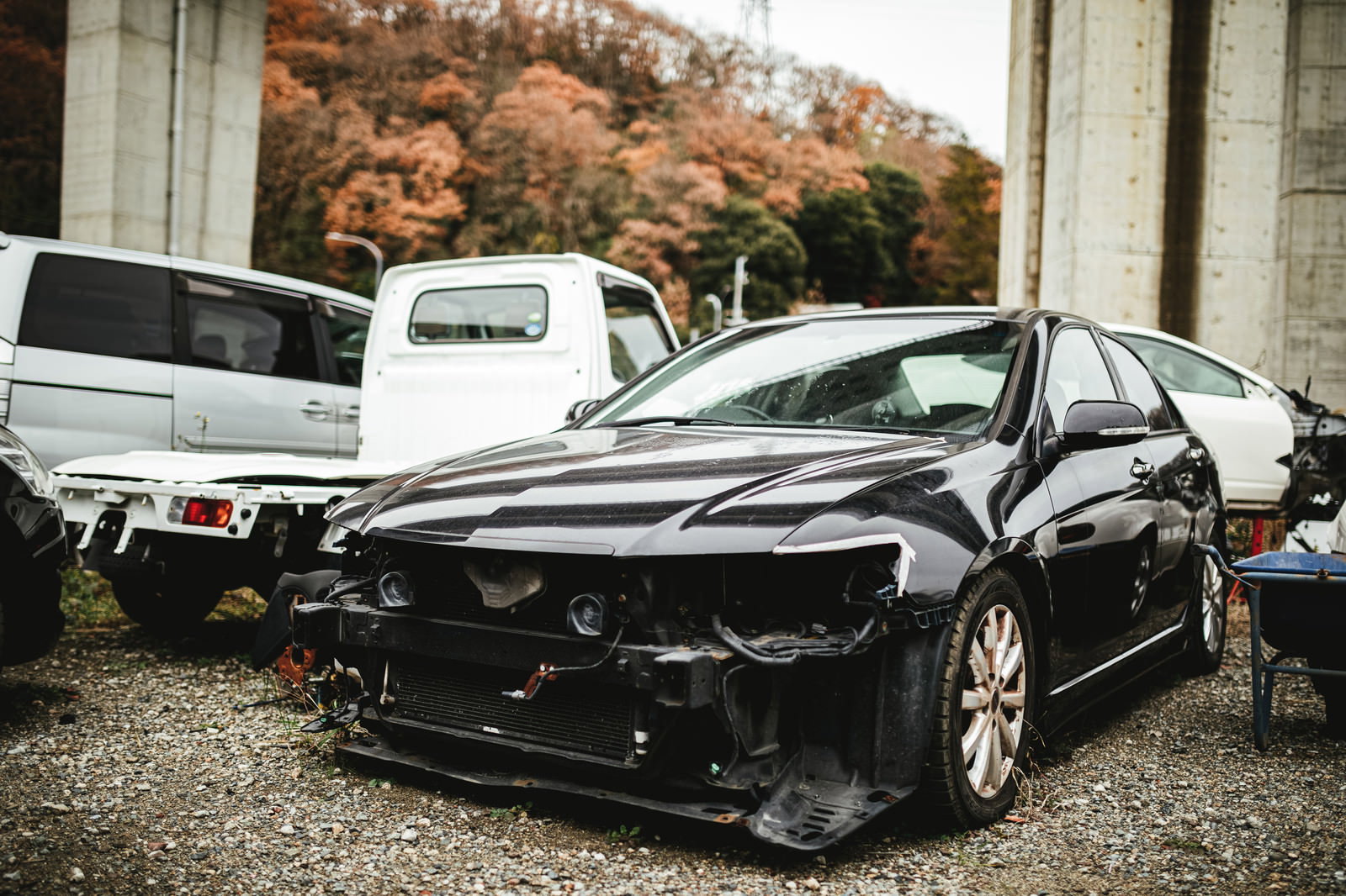 廃車施設に並ぶ破損した黒い事故車と秋の紅葉