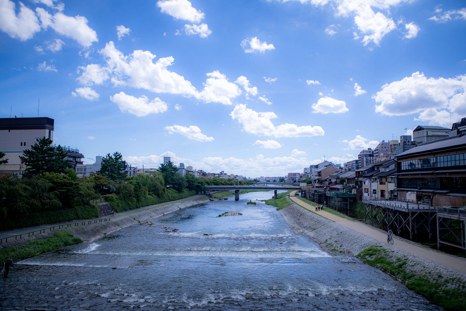 青空と白い雲の下を流れる鴨川と河川敷の緑、両岸の建物