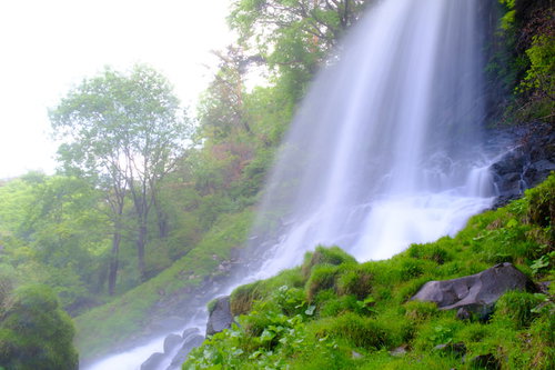 横谷峡の乙女滝：信州の緑豊かな渓谷を流れ落ちる白い水流