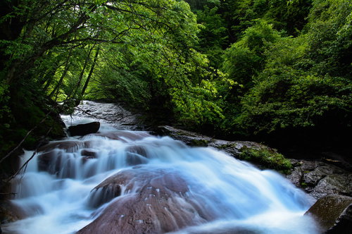 緑の森に囲まれた横谷峡の渓流と岩肌を削る清流