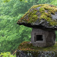 緑の森の中で苔に覆われた古い石灯籍と自然の風情の写真