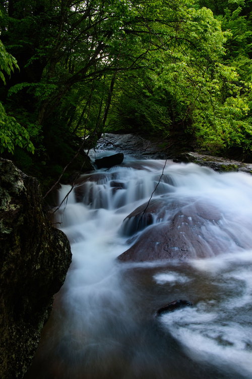 横谷渓谷の渋川が岩の間を勢いよく流れ落ちる新緑の渓流風景