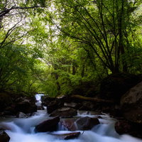 横谷渓谷のせせらぎ、長野の渓流 長時間露光で撮影した自然風景の写真