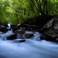 横谷渓谷の上流を流れる渓流と岩肌の自然風景の写真
