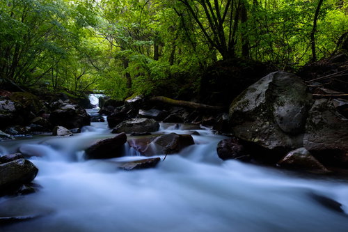 横谷渓谷の上流を流れる渓流と岩肌の自然風景