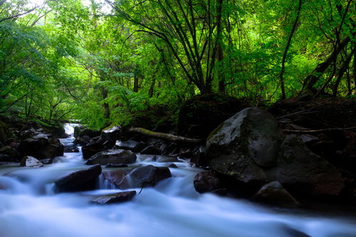 森に囲まれた横谷渓谷を流れる清流と苔むした岩