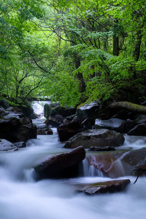 信州蓼科の秘境・横谷渓谷を流れる渓流と岩場の風景