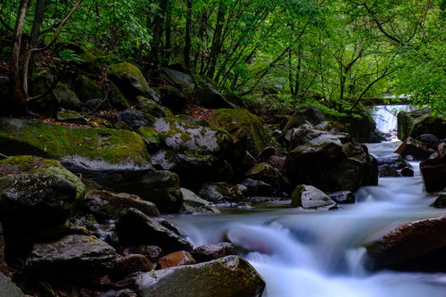 横谷渓谷の渓流と苔むした岩 信州長野の清流