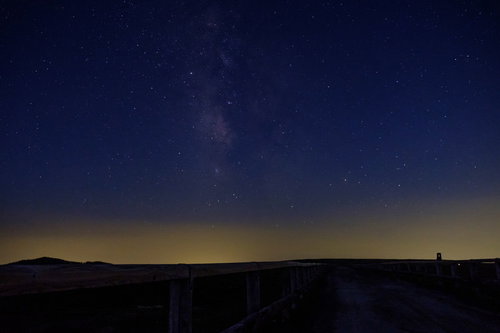 美ヶ原高原の牧場で草を食む牛