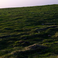 美ヶ原高原の牧場で柵越しに並ぶ乳牛2頭の写真