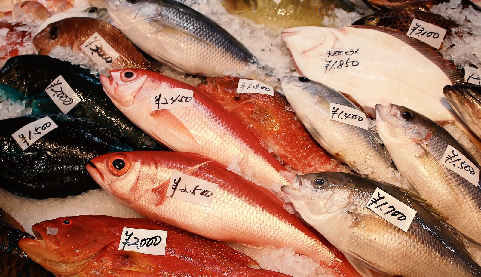 魚市場の売り場に氷の上に並んだ鯛やヒラメなどの新鮮な魚