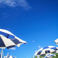 晴れた空を背景に並ぶ青と白のストライプのビーチパラソルの写真