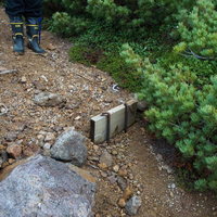 木材のみで作り直しが必要な乗鞍新登山道の階段の写真