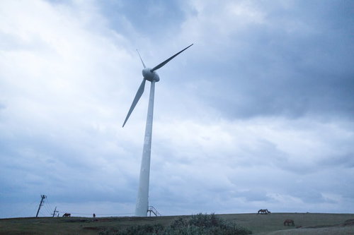 与那国島の巨大風力発電と放牧される与那国馬