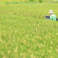 いいアイディアが出ないものかと田んぼで企画書をつくるディレクターの写真