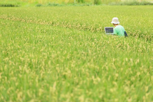いいアイディアが出ないものかと田んぼで企画書をつくるディレクターの写真