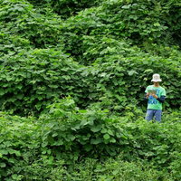 山奥の雑草に囲まれても4G電波がここまで届くのかと感心する男性の写真