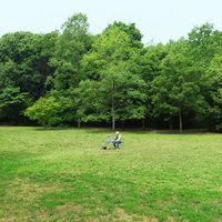 広大な森林公園でノマドなうの写真