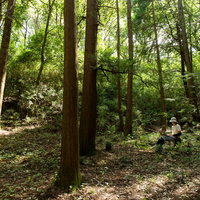 新緑の雑木林でノマドワーク、自転車を担いで仕事するリモートワーカーの写真
