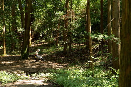 静寂な森の中で集中してコードを書く伝説のエンジニアの写真