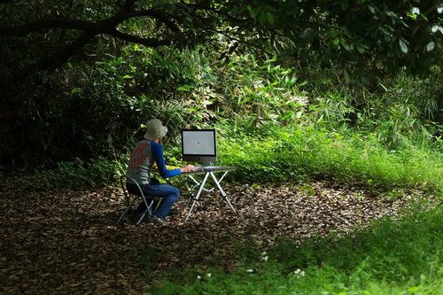 アップデートがなかなか終わらず森の中でおいてけぼりの新卒デザイナー、ノートパソコンで作業中の写真