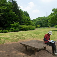 自然の中でノートパソコンを使ってITワークをする男性の写真