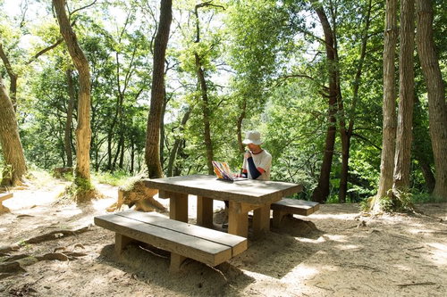 今どこにいるんだ！と上司からメッセージが来て「森です」と答えるエンジニア