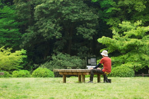 大自然のなかでコーディングしているWebデザイナー