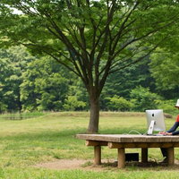 僕の職場は緑に包まれた公園のテーブルの写真