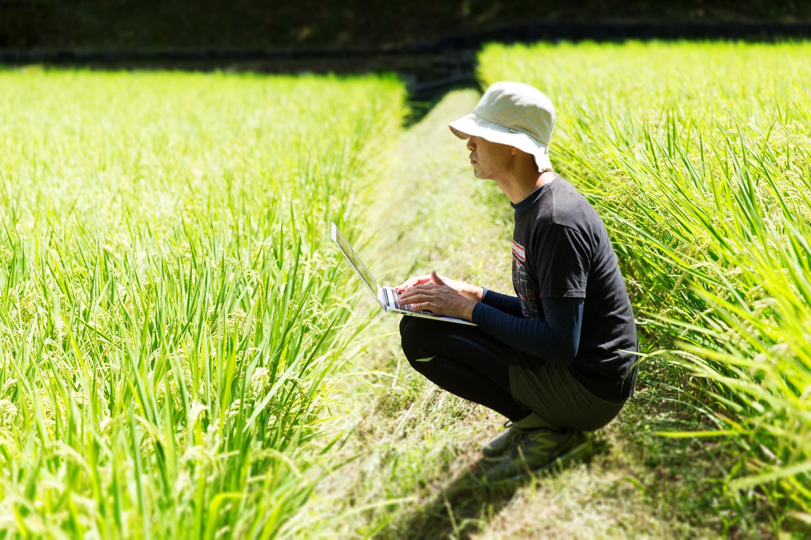田んぼのあぜ道でノートパソコンを操作する白い帽子の男性