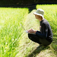 ふと気がつくと田んぼで作業していたノマドワーカーの写真