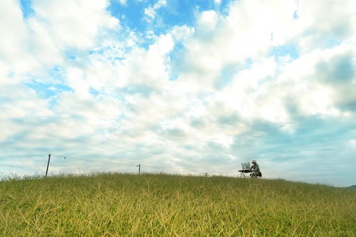今日も最高のノマド日和だぜ
