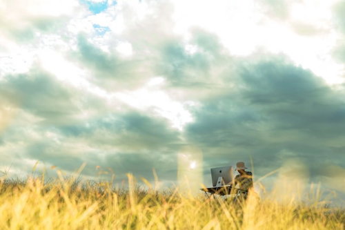 入稿前のデータが飛んで周りが草原になったデザイナーが帽子をかぶりパソコンで作業