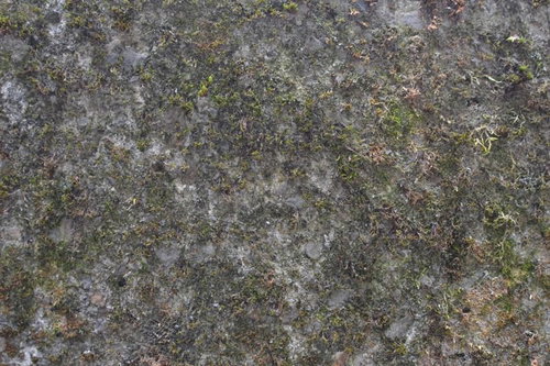 苔が生えた石と土の地面テクスチャ