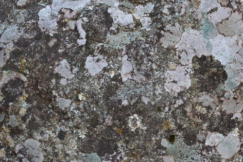 打ち放しコンクリート壁のテクスチャ