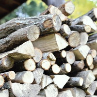 断面が見えるように積み重ねた薪の写真