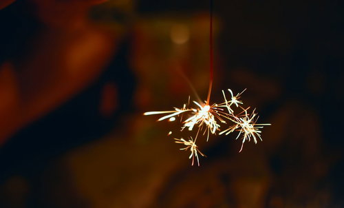 暗闇で白と金色の火花を放つ線香花火の接写