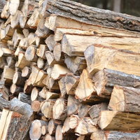 森の中に積み上げた切り口の見える薪の写真