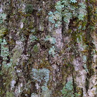 グレーのカーペット生地テクスチャの写真