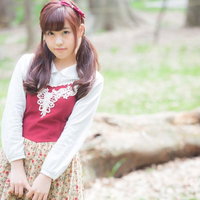 紫のサイネリアが群咲き、出会った若い村娘のような花の写真