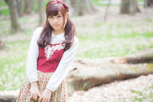 紫のサイネリアが群咲き、出会った若い村娘のような花