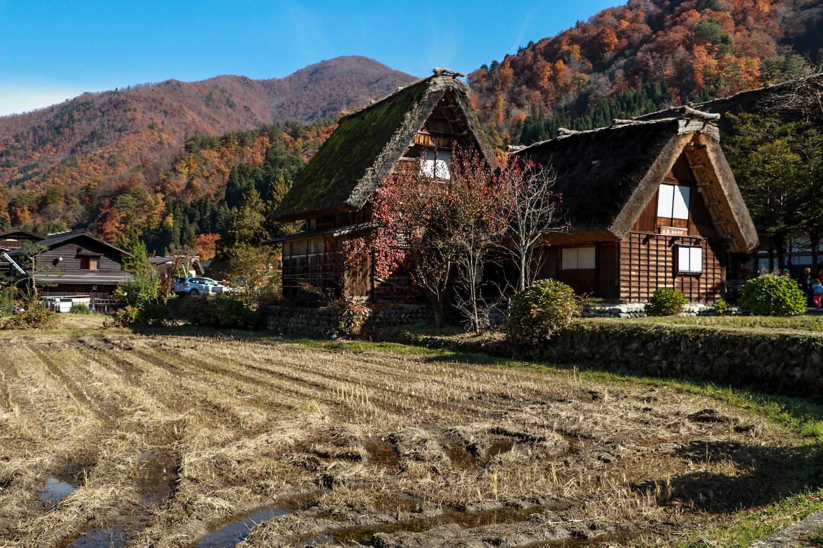稲刈り後の田んぼと合掌造りの民家が並ぶ白川郷の秋景色
