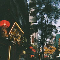 赤いランタンが灯る中華街の路地 夜間の繁華街の写真