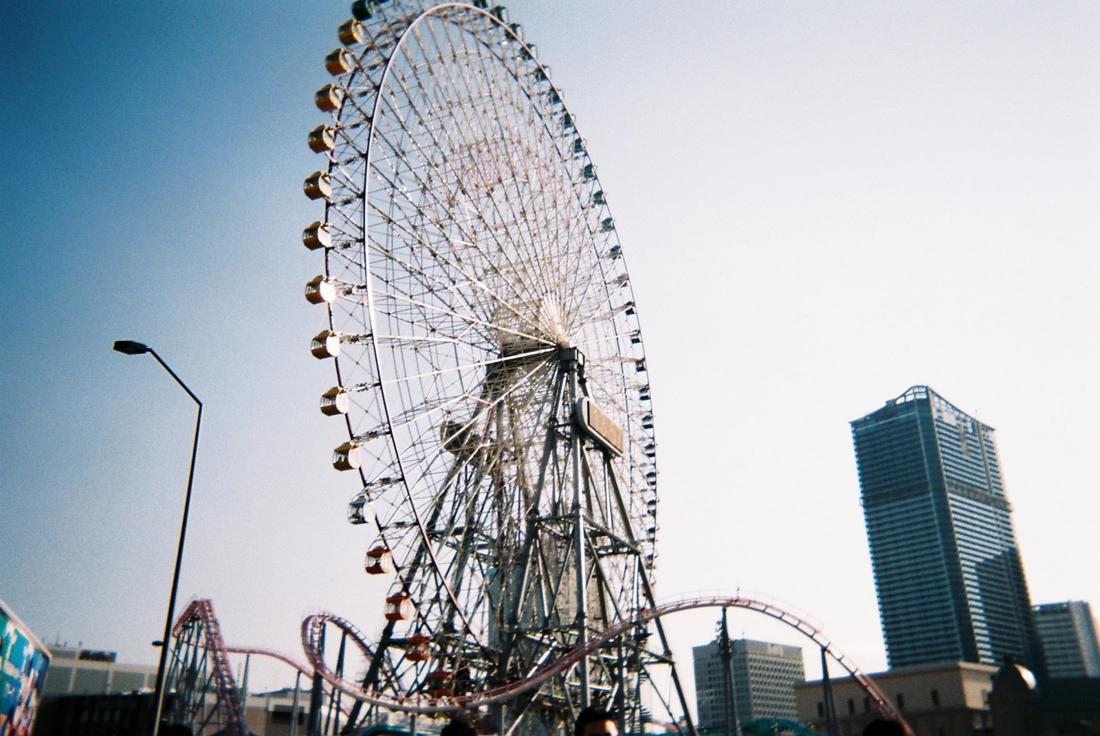 青空を背景に白い観覧車が立つ遊園地の風景