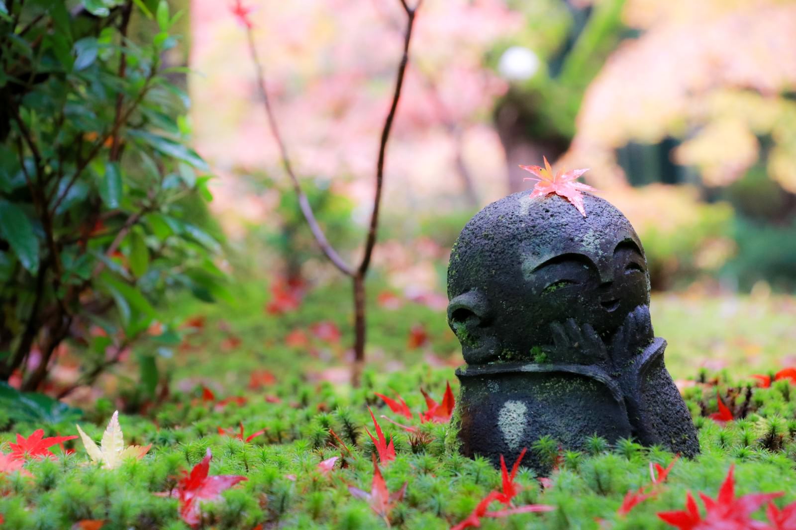 紅葉の落ち葉に囲まれて笑顔を浮かべる京都圓光寺のお地蔵さん