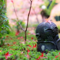 京都圓光寺の紅葉と十牛之庭に佇むお地蔵さんの写真