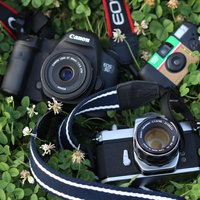 緑の草むらに置かれたデジタル一眼レフとフィルムカメラの写真